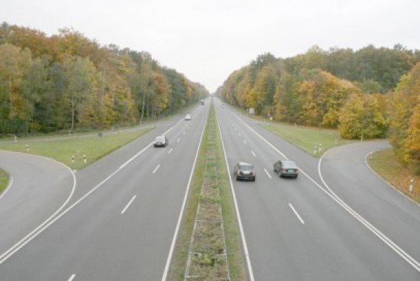 Undă verde pentru programul de creare a unor perdele forestiere